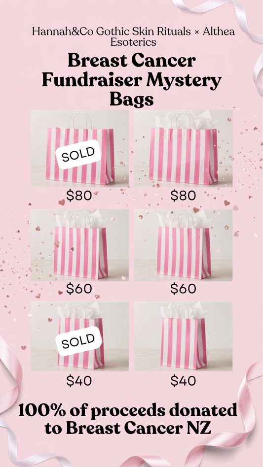 🩷 Breast Cancer Fundraiser 🩷
